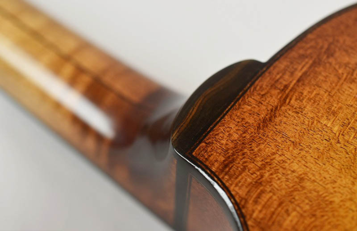 Mandolino8